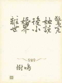 离婚后她惊艳了世界小说完整版大结局