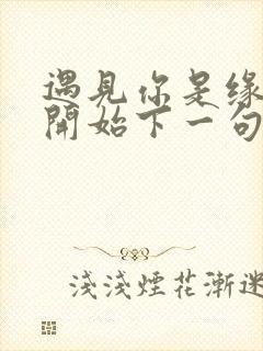 遇见你是缘分的开始下一句是什么