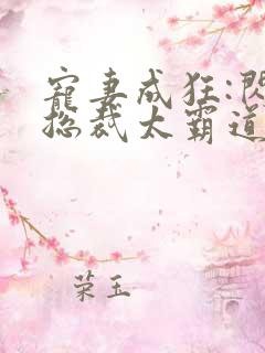 宠妻成狂:闪婚总裁太霸道