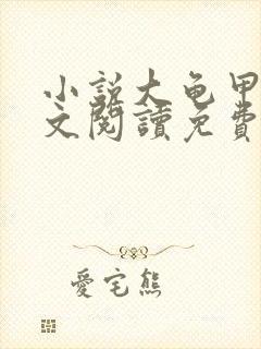 小说大龟甲师全文阅读免费