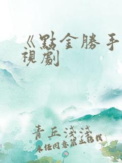 《点金胜手》电视剧