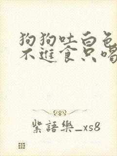 狗狗吐白色粘液不进食只喝水