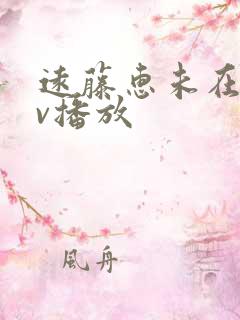 远藤惠未在线av播放