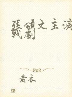 张颂文主演的谍战剧