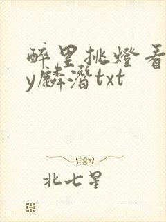 醉里挑灯看你by麟潜txt