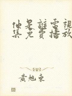 他是谁电视剧全集免费播放