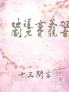 地道女英雄电视剧免费观看全集