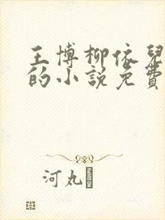 王博柳依儿主角的小说免费阅读