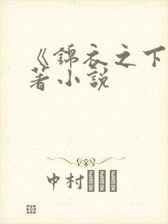 《锦衣之下》原著小说