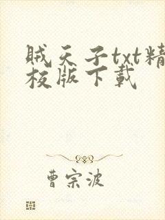 贼天子txt精校版下载