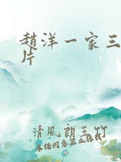 赵洋一家三口照片