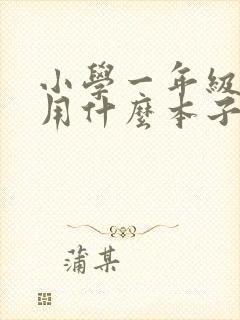 小学一年级一般用什么本子比较多