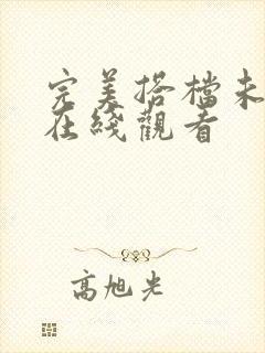 完美搭档未删版在线观看