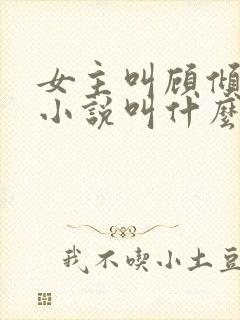 女主叫顾倾城的小说叫什么