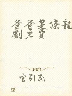 爸爸是条龙电视剧免费