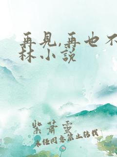 再见,再也不见林小说