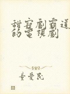 甜宠剧霸道总裁的电视剧