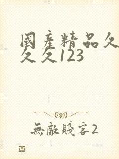 国产精品久久久久久123