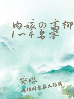 肉嫁の高柳动漫1～4名字