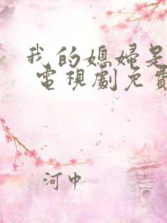 我的媳妇是女王 电视剧免费观看