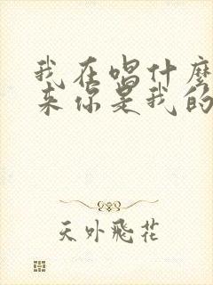 我在唱什么歌原来你是我的主打歌