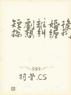 短剧离婚后前夫总想纠缠我