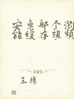 安卓哪个浏览器能缓存视频