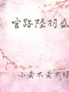 官路陆羽盛凌云