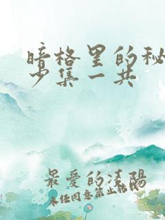 暗格里的秘密多少集一共