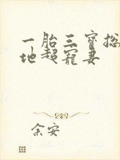 一胎三宝总裁爹地超宠妻