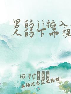 男的jj插入女人的下面视频