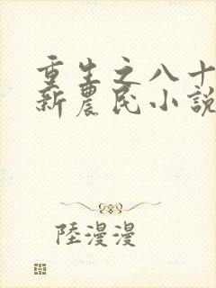 重生之八十年代新农民小说