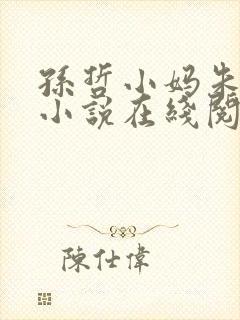 孙哲小妈朱颜的小说在线阅读