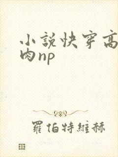 小说快穿高h纯肉np