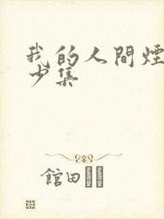 我的人间烟火多少集