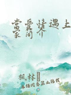 当爱情遇上科学家简介