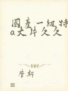 国产一级特黄aa大片久久