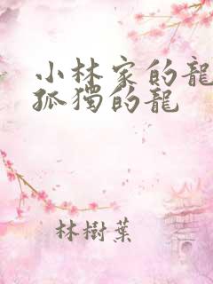 小林家的龙女仆孤独的龙