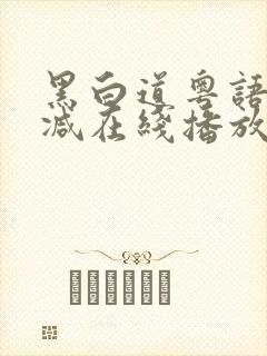 黑白道粤语无删减在线播放