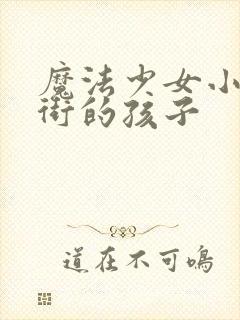 魔法少女小圆伪街的孩子