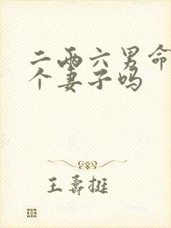 二两六男命有两个妻子吗