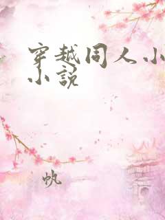 穿越同人小说的小说