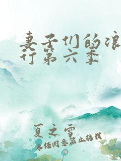 妻子们的浪漫旅行第六季