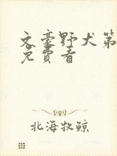 文豪野犬第二季免费看