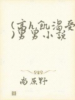 (高h,饥渴受)男男小说