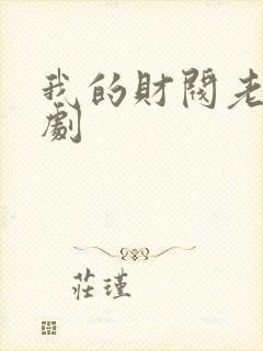 我的财阀老婆短剧