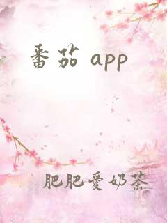 番茄 app
