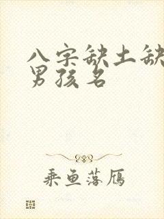 八字缺土缺金的男孩名