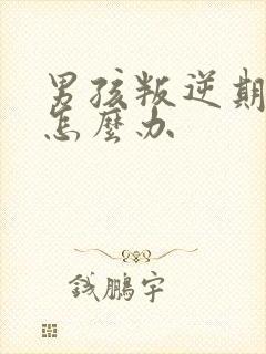 男孩叛逆期家长怎么办