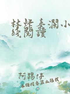 林烽秦澜小说在线阅读